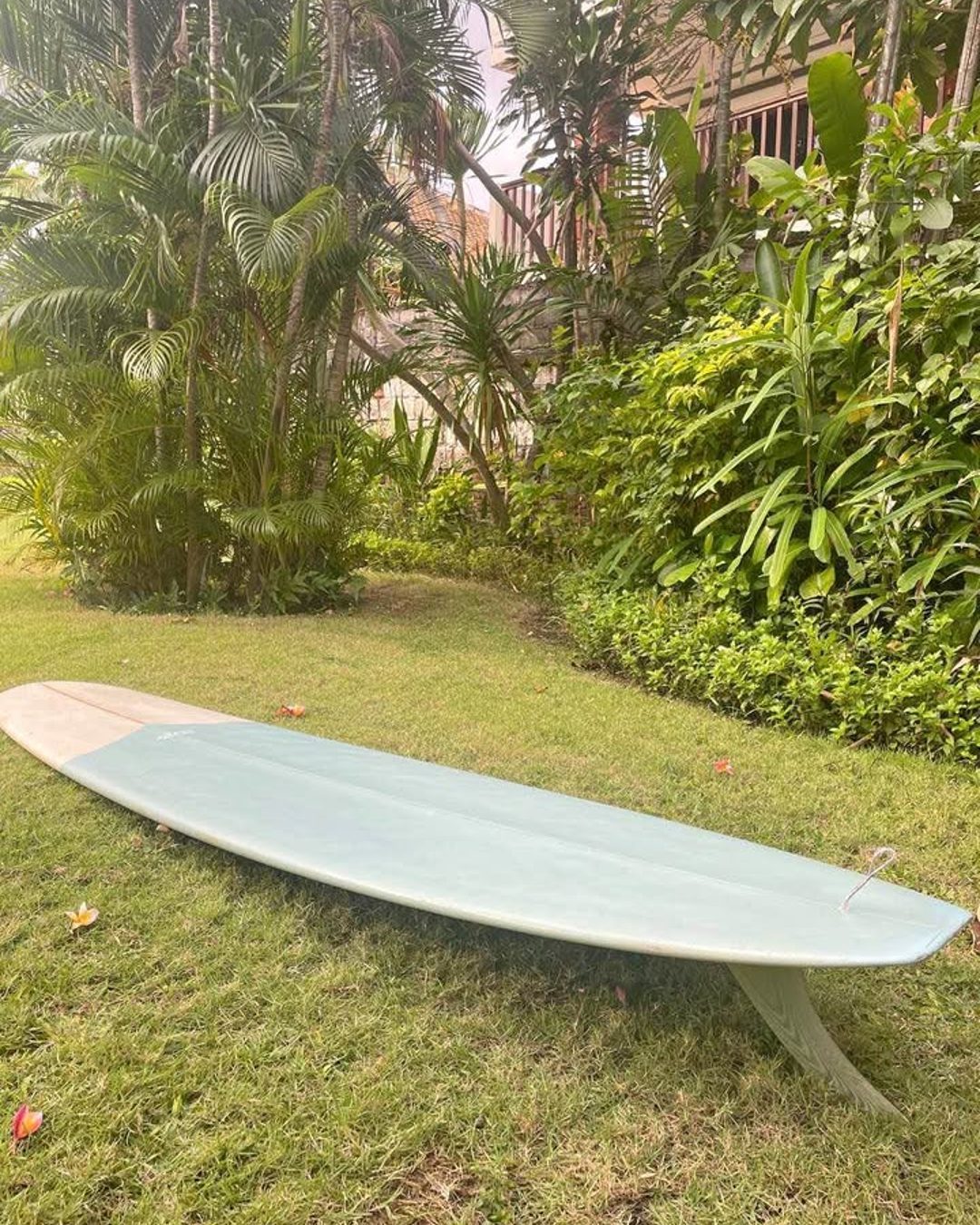 Ross longboard 9'2, photo 1