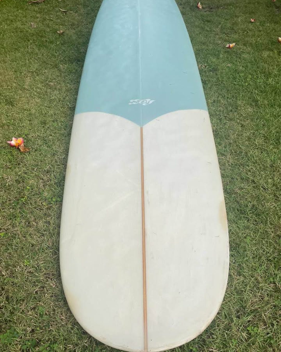 Ross longboard 9'2, photo 3