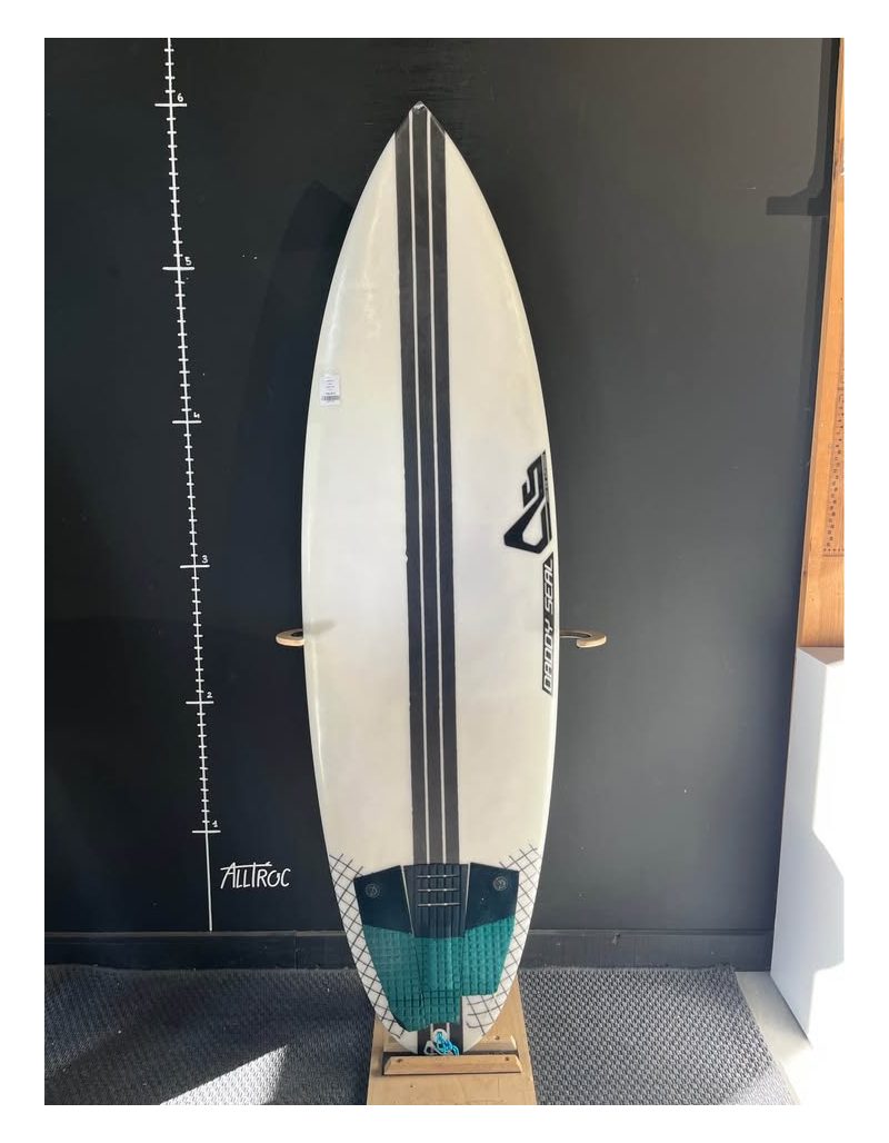 Daddy seal 5’10", photo 1