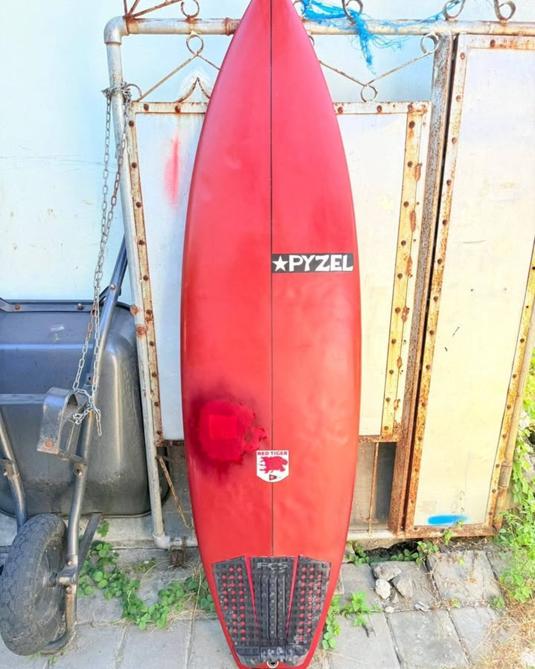 Pyzel Red Tiger