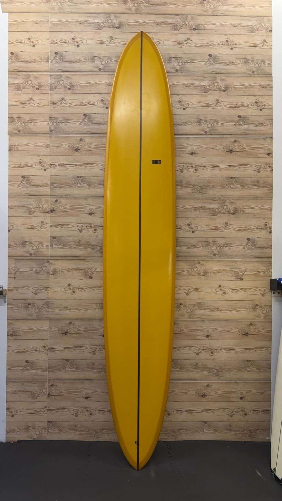 Dreadnought Glider 11'0", photo 2