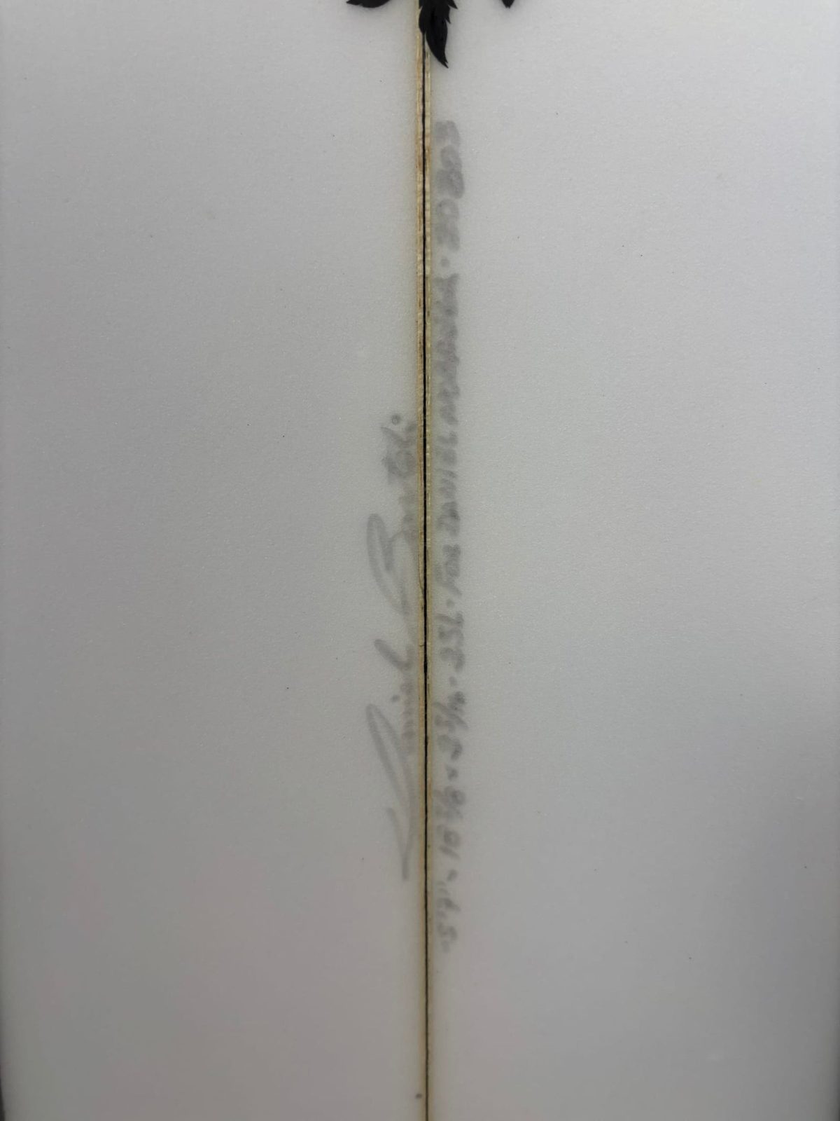 Semente  5'7'' | 25 L, photo 3