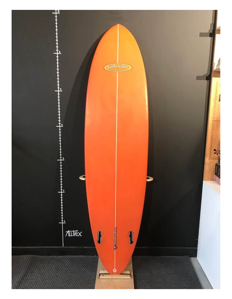 Labrador Twin pin 6’11", photo 2