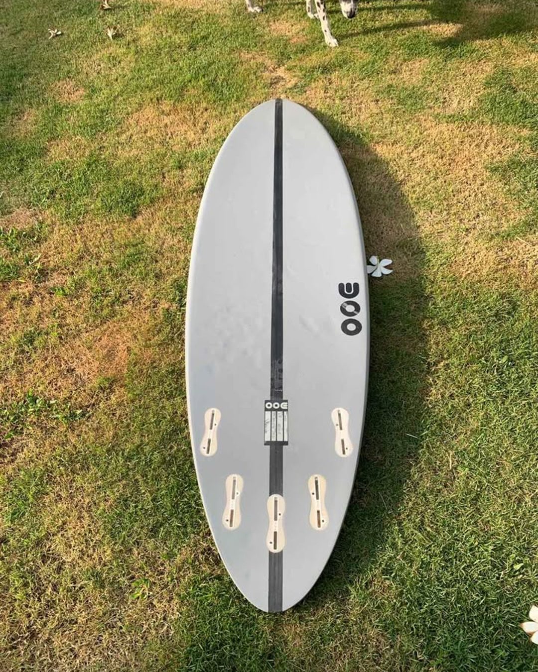 Mike Woo V8 5'9 29.5L, photo 2